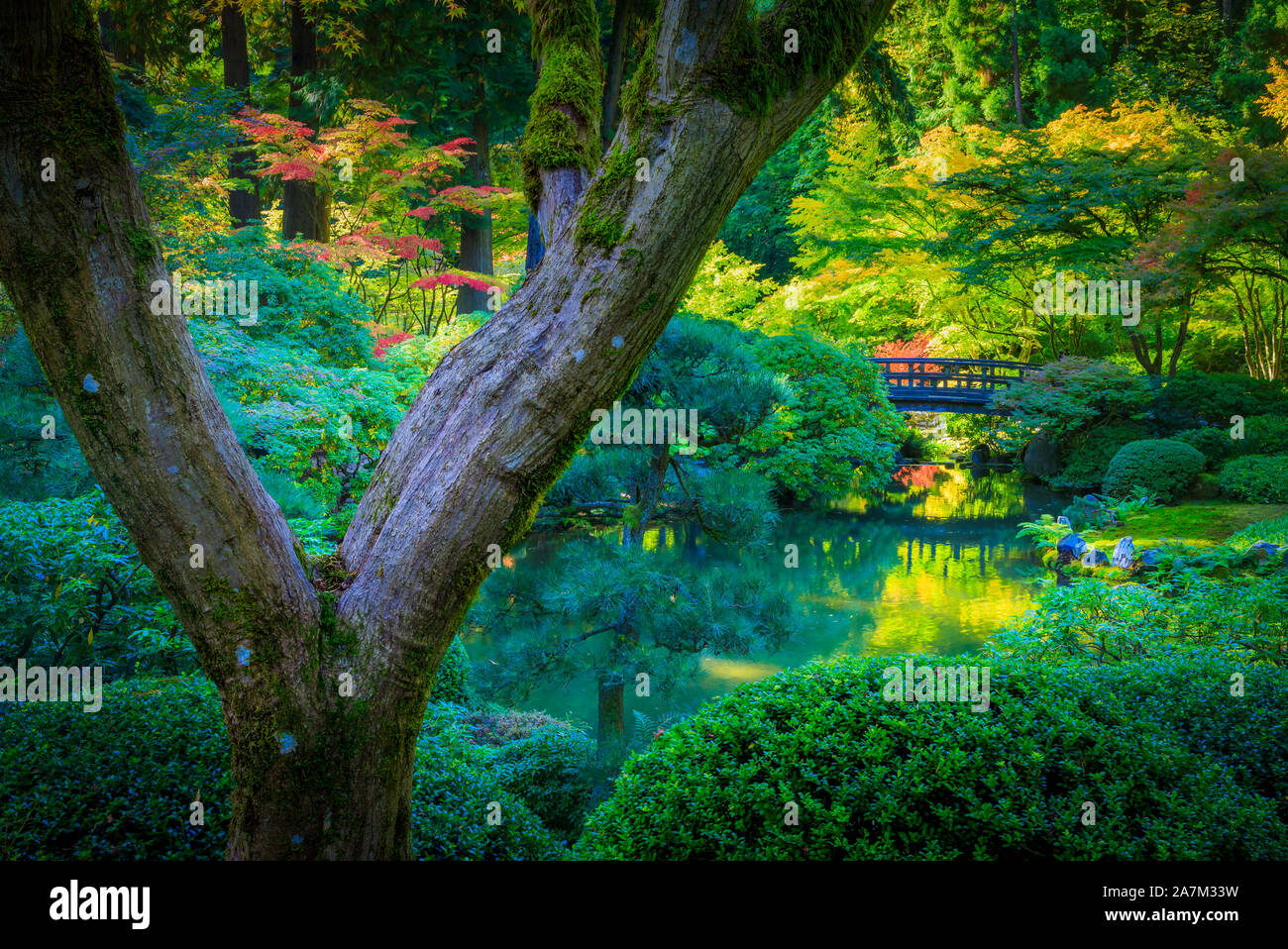 Der Portland Japanische Garten ist ein traditioneller japanischer Garten, 12 Hektar, in Washington Park im Westen Hügel von Portland, Oregon Stockfoto