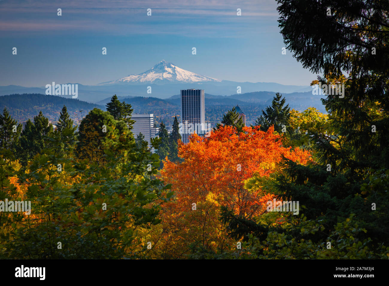 Portland, Oregon Skyline von der Portland Japanese Gardens. Portland, offiziell die Stadt Portland, ist die größte und bevölkerungsreichste Stadt in der Stockfoto
