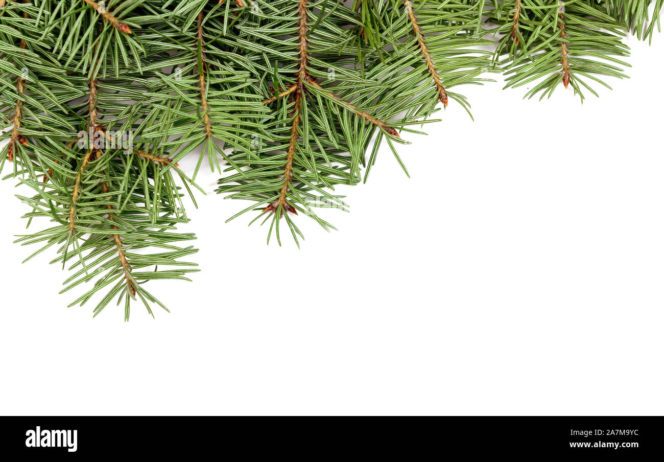 Weihnachten Tannenbaum Rahmen mit kopieren. Design Element Stockfoto