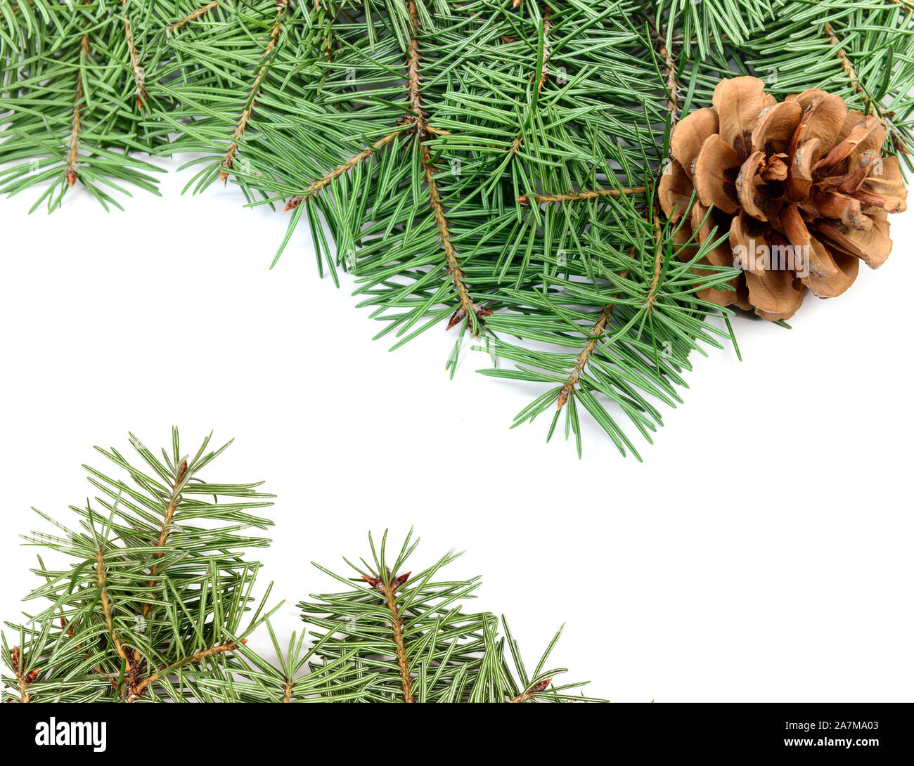 Weihnachten Tannenbaum Rahmen mit kopieren. Design Element Stockfoto