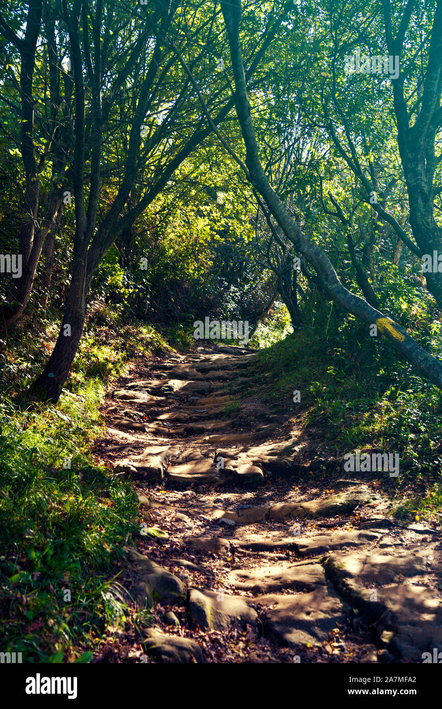 Schritte auf dem Camino de Santiago Wanderweg von San Sebastian zu Pasajes de San Juan, Spanien Stockfoto