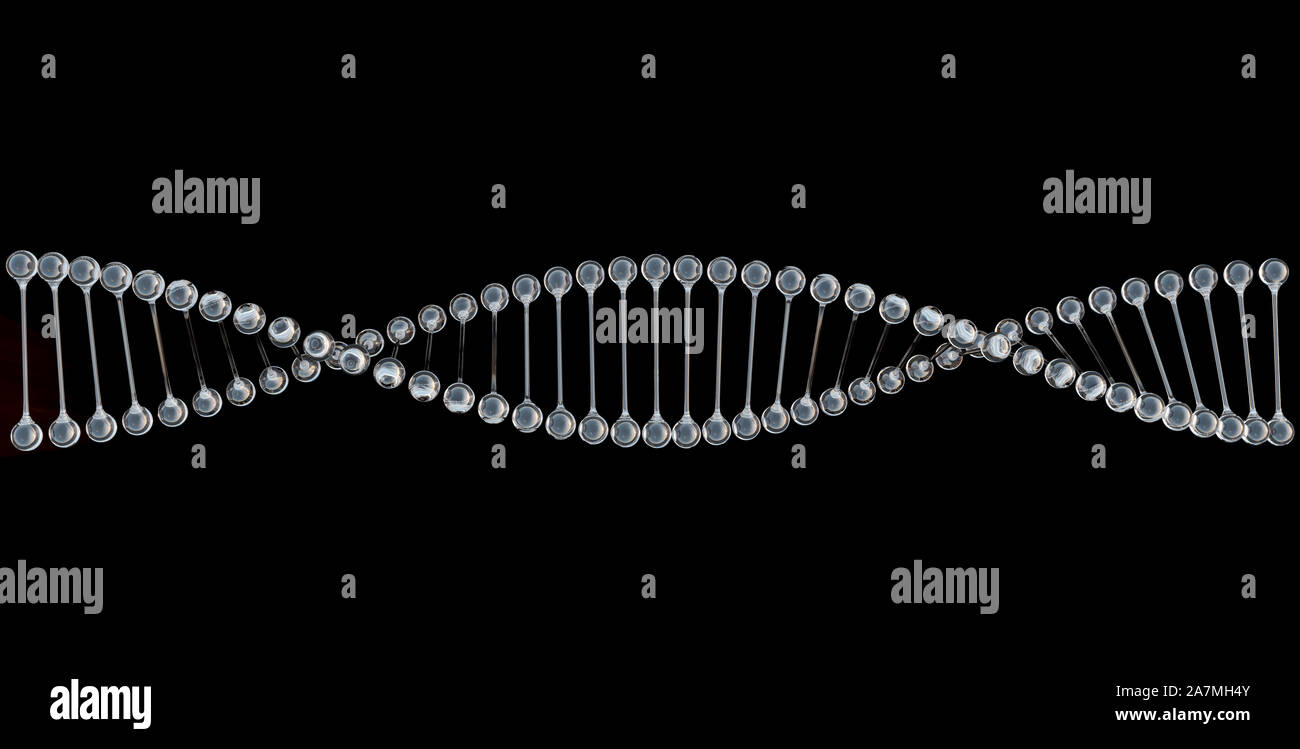 DNA-Kette Spirale in Diamant wie transparente Material, auf schwarzem Hintergrund, Konzept der Gentechnik, Forschung, 3D-Rendering, 3d-illust Stockfoto