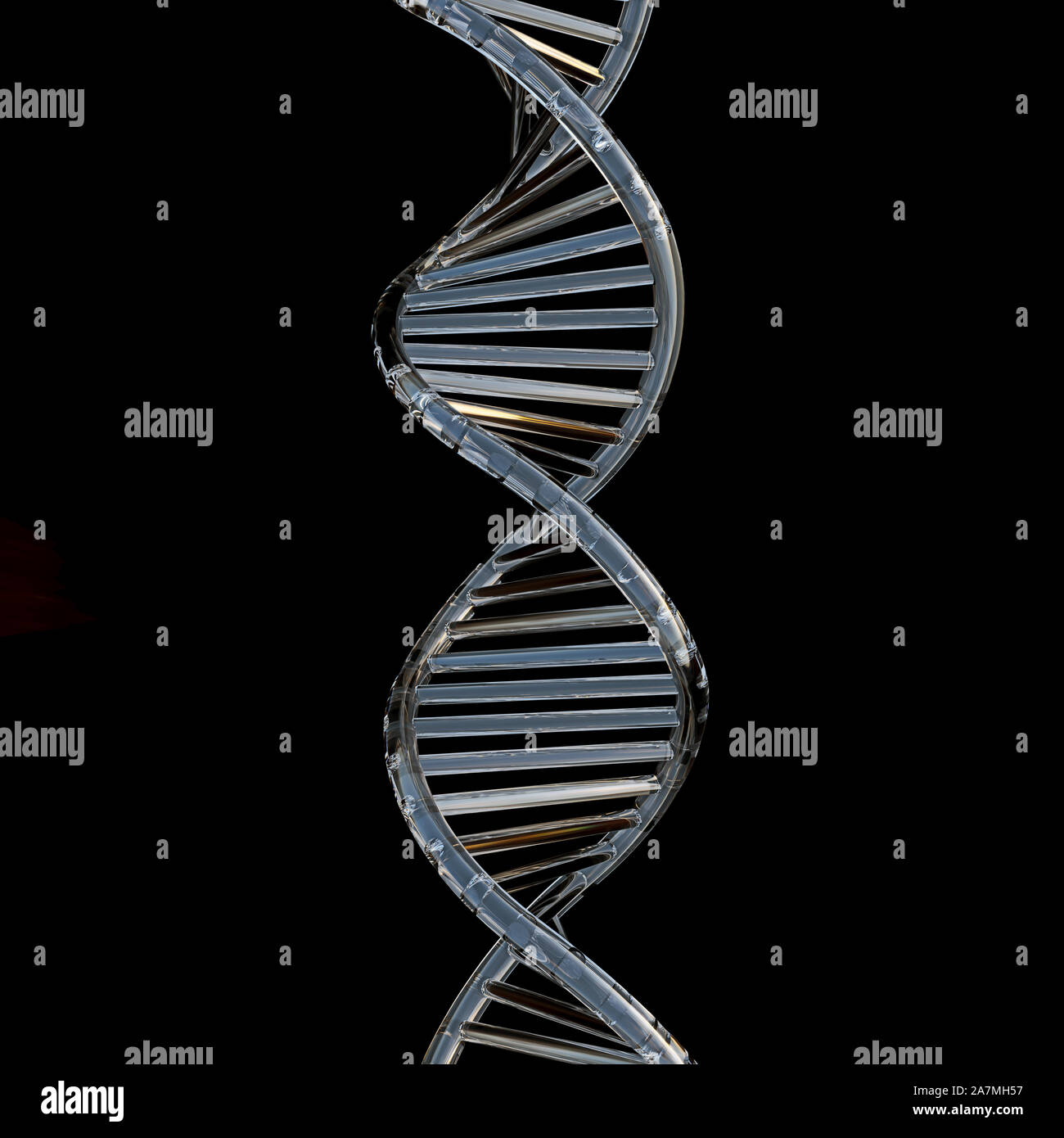 DNA-Kette Spirale in Diamant wie transparente Material, auf schwarzem Hintergrund, Konzept der Gentechnik, Forschung, 3D-Rendering, 3d-illust Stockfoto