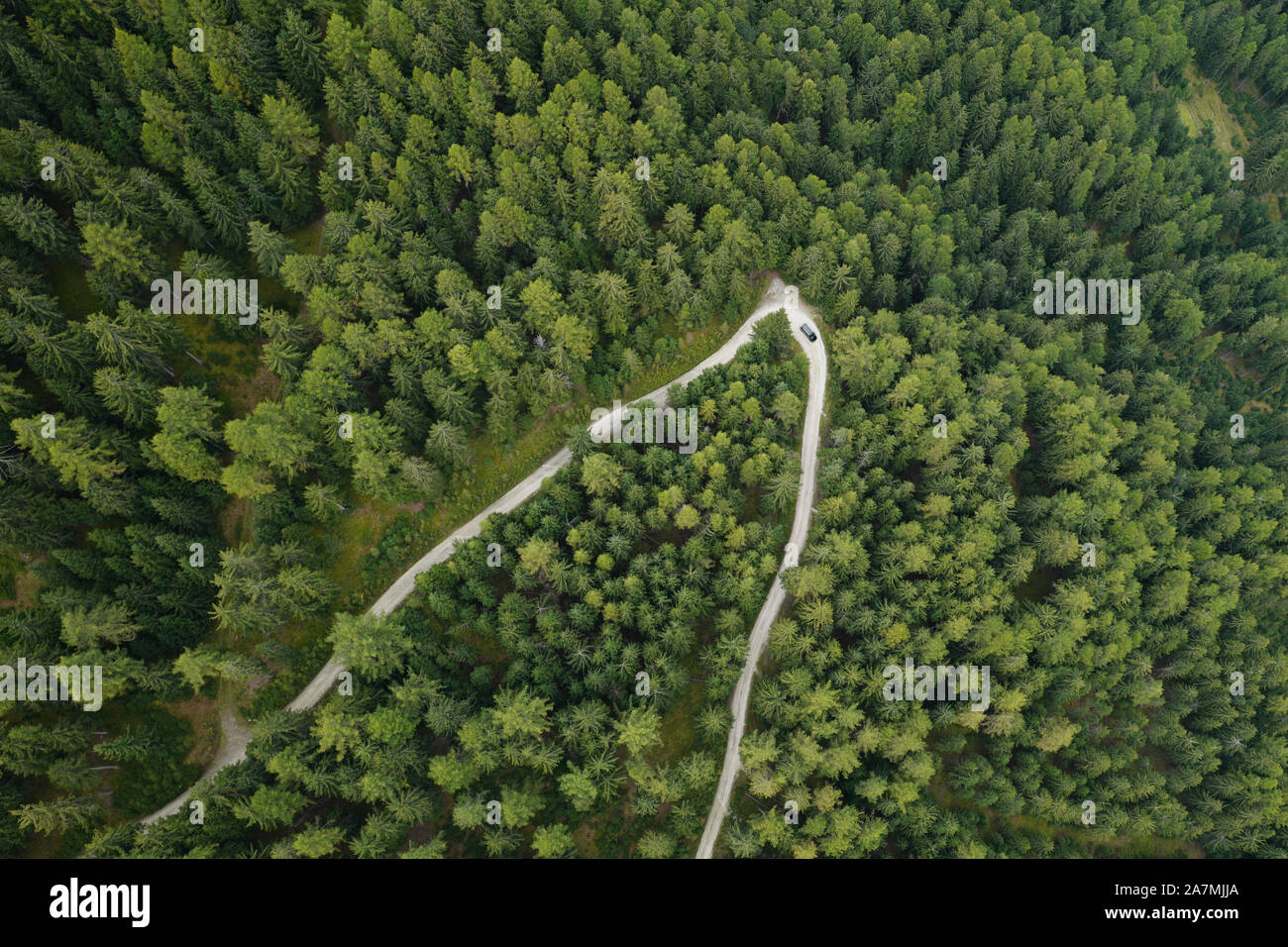 Luftaufnahme eines Autos, das auf einer Bergstraße fährt Umgeben von Wald Stockfoto