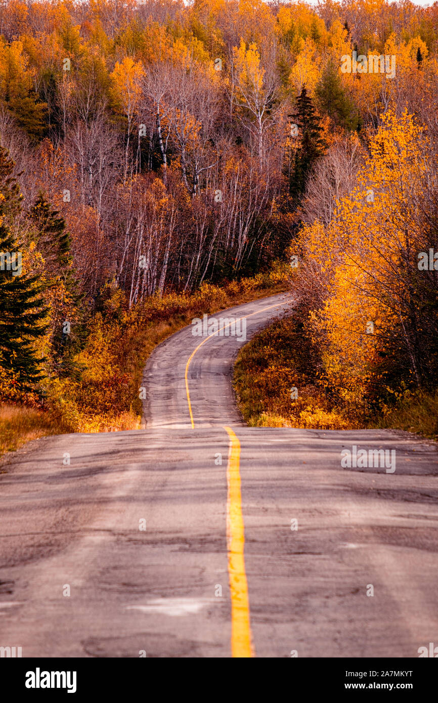 Mountain Road mit Falllaub Alberta Kanada Stockfoto