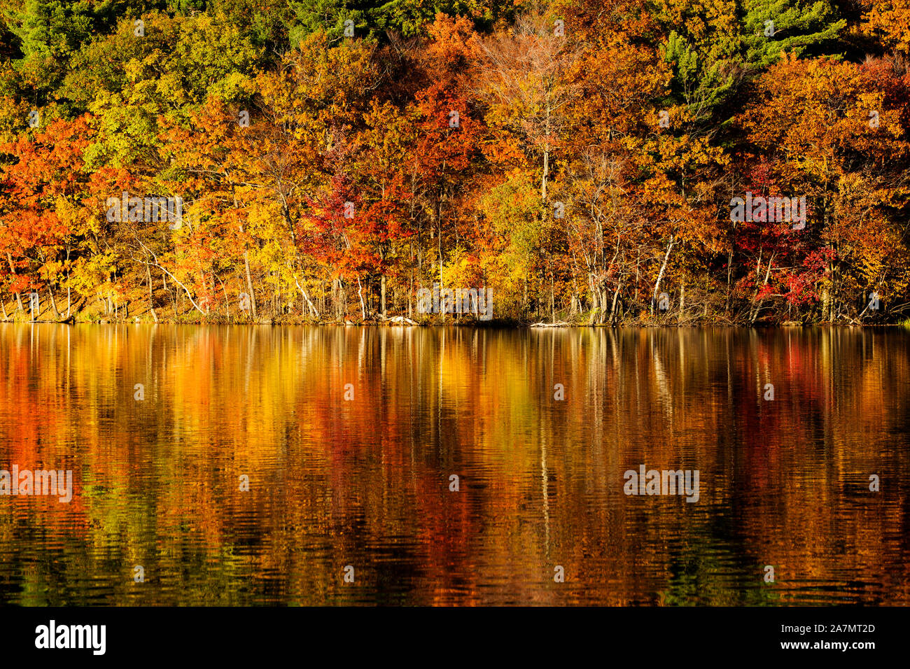 Mont St. Bruno National Park, Quebec, Kanada im Herbst Stockfoto