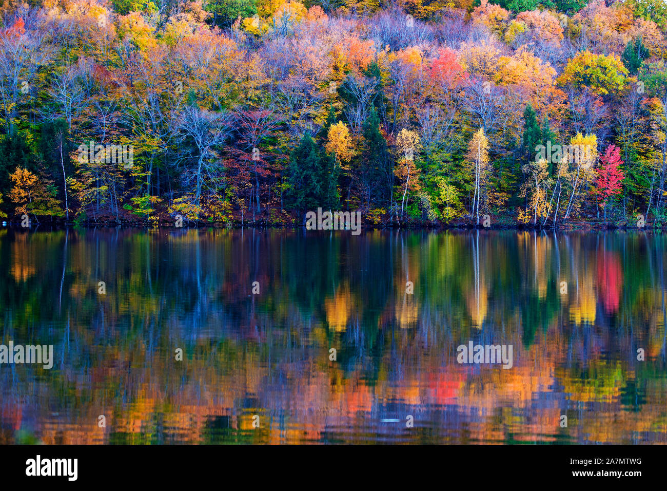 Mont St. Bruno National Park, Quebec, Kanada im Herbst Stockfoto