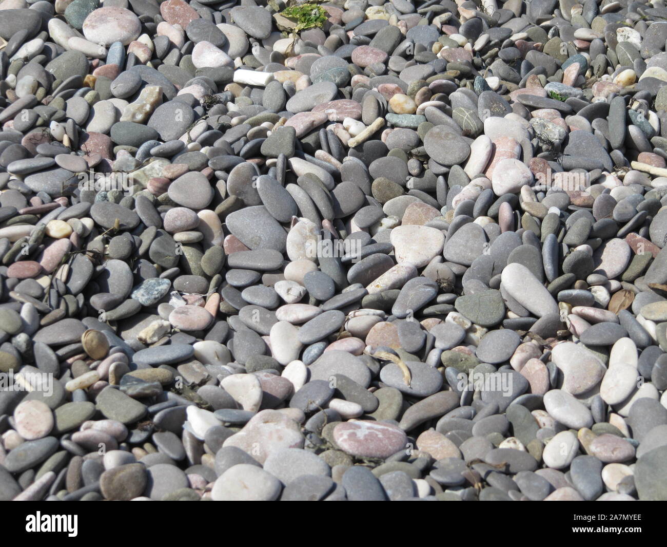 Das Foto zeigt den Schaum des Meeres Wellen, Wildlife Teich, Strand