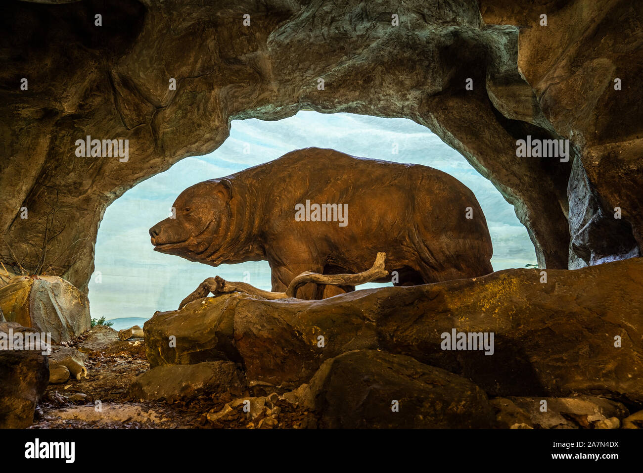 Höhlenbär Rekonstruktion Szene, ursus spelaeus, Naturhistorisches Museum Basel, Schweiz. Stockfoto