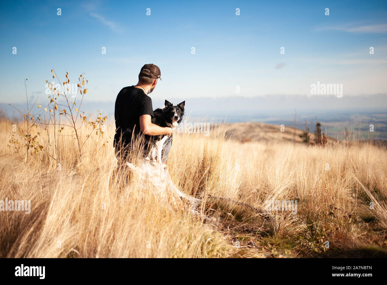 Mann mit schwarzen und weißen Border Collie sitzend in hohen goldenen Gras auf der Bergwiese. Auf den Hund konzentrieren. Stockfoto