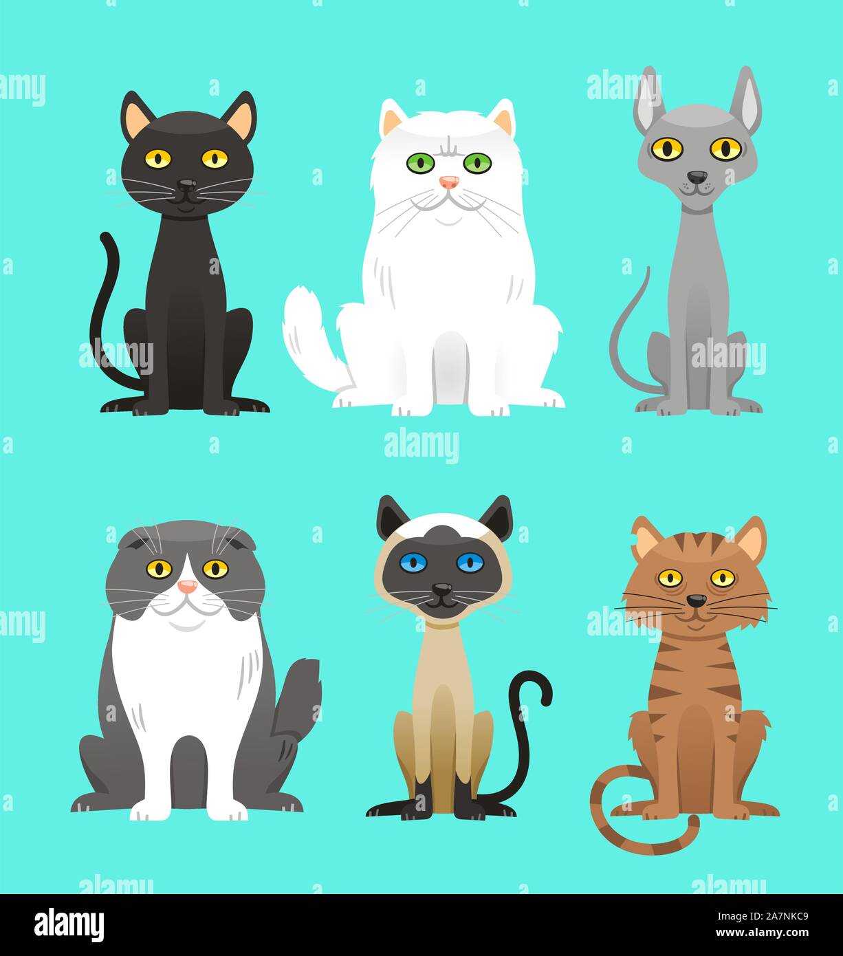 Katze Rasse festgelegt, mit schwarze Katze, weiße Katze, graue Katze, grau-weiße Katze, braun und schwarz Akt, braune Katze. Vektor-Illustration-Cartoon. Stock Vektor