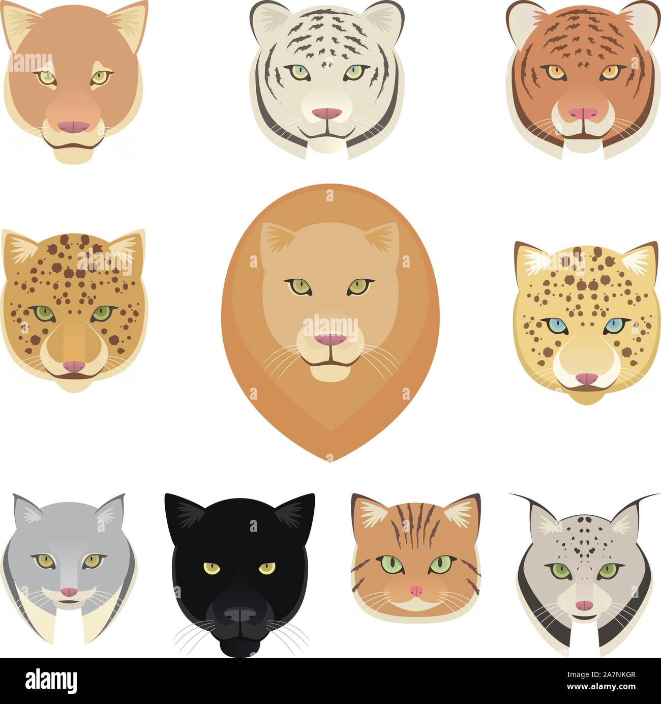 Katzen-Leopard, Panther, Löwe, Tiger, Puma und Jaguar-Köpfe-Sammlung. Vektor-Illustration. Stock Vektor
