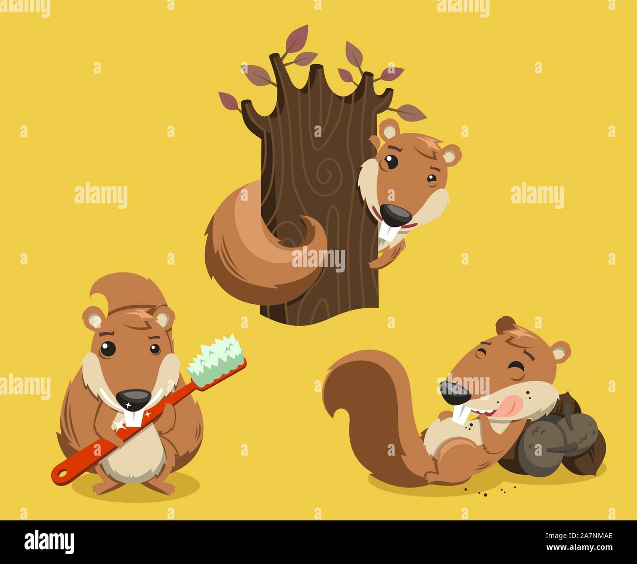 Eichhörnchen Streifenhörnchen Nagetier Tail flauschige Whisker Tier, Vektor-Illustration-Cartoon. Stock Vektor