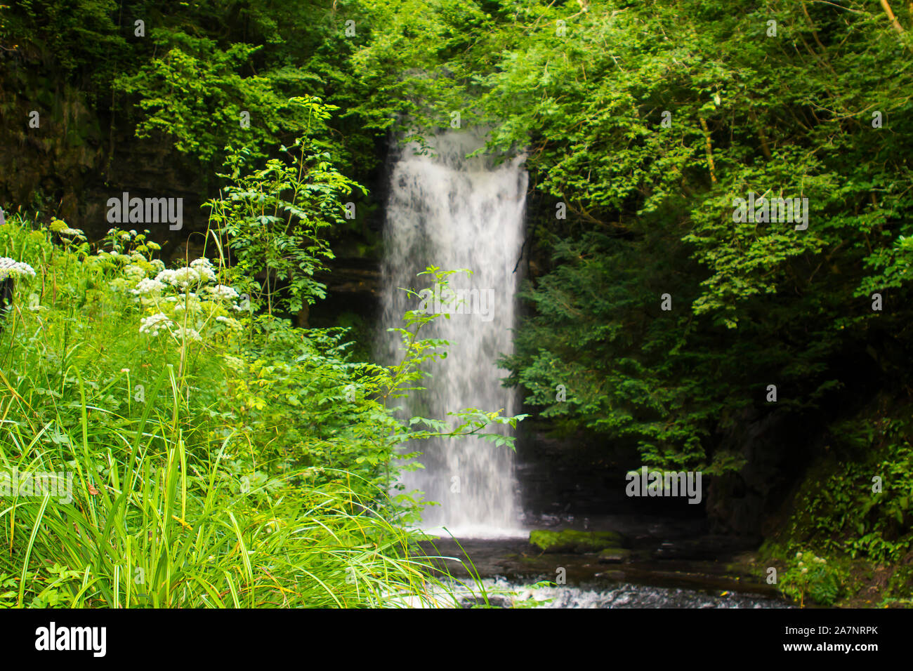 23. August 2019. Die kleinen schnell laufenden Fluss am Glencar Wasserfall meist dazu gebracht, County Sligo, Irland. Der Glen und fällt ist ein beliebter Ort für Land Stockfoto