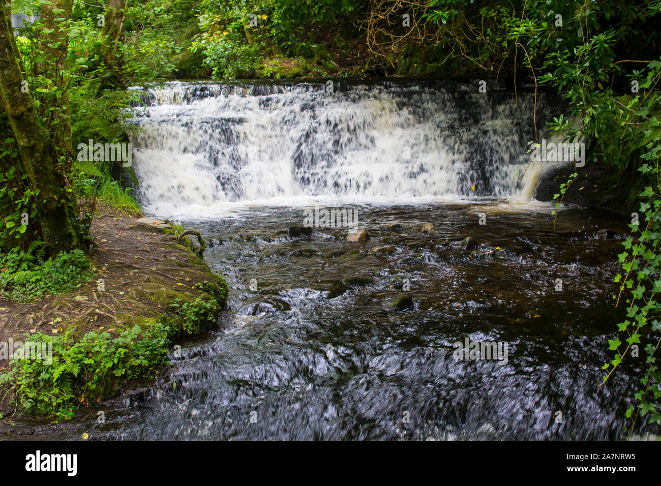 23. August 2019. Die kleinen schnell laufenden Fluss am Glencar Wasserfall Ort im County Sligo, Irland. Der Glen ist ein beliebter Ort für Spaziergänge. Stockfoto