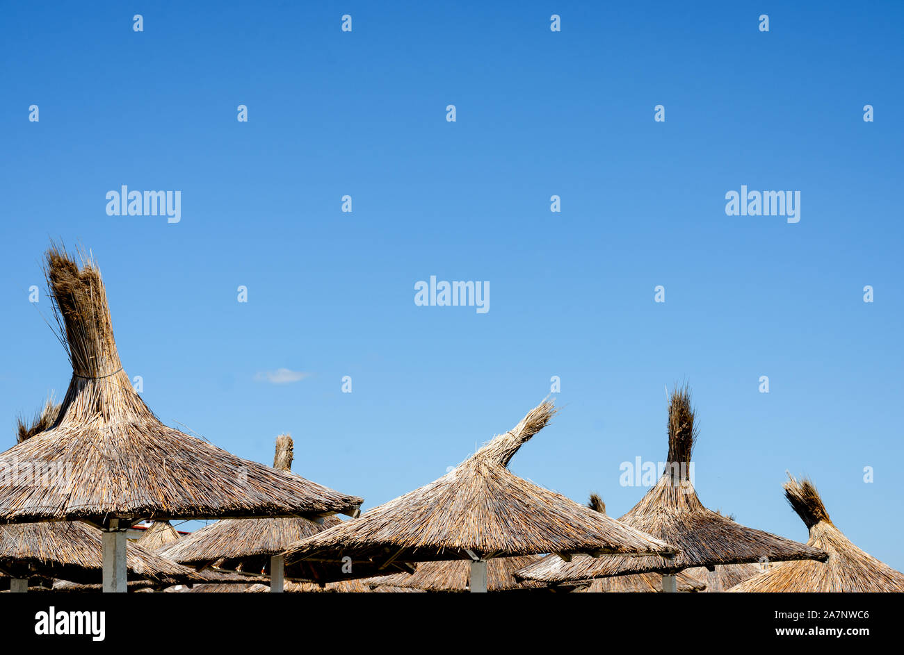 Draufsicht der Reed Dach Dach gegen den blauen Himmel im Sommer Zeit am Strand. Stockfoto