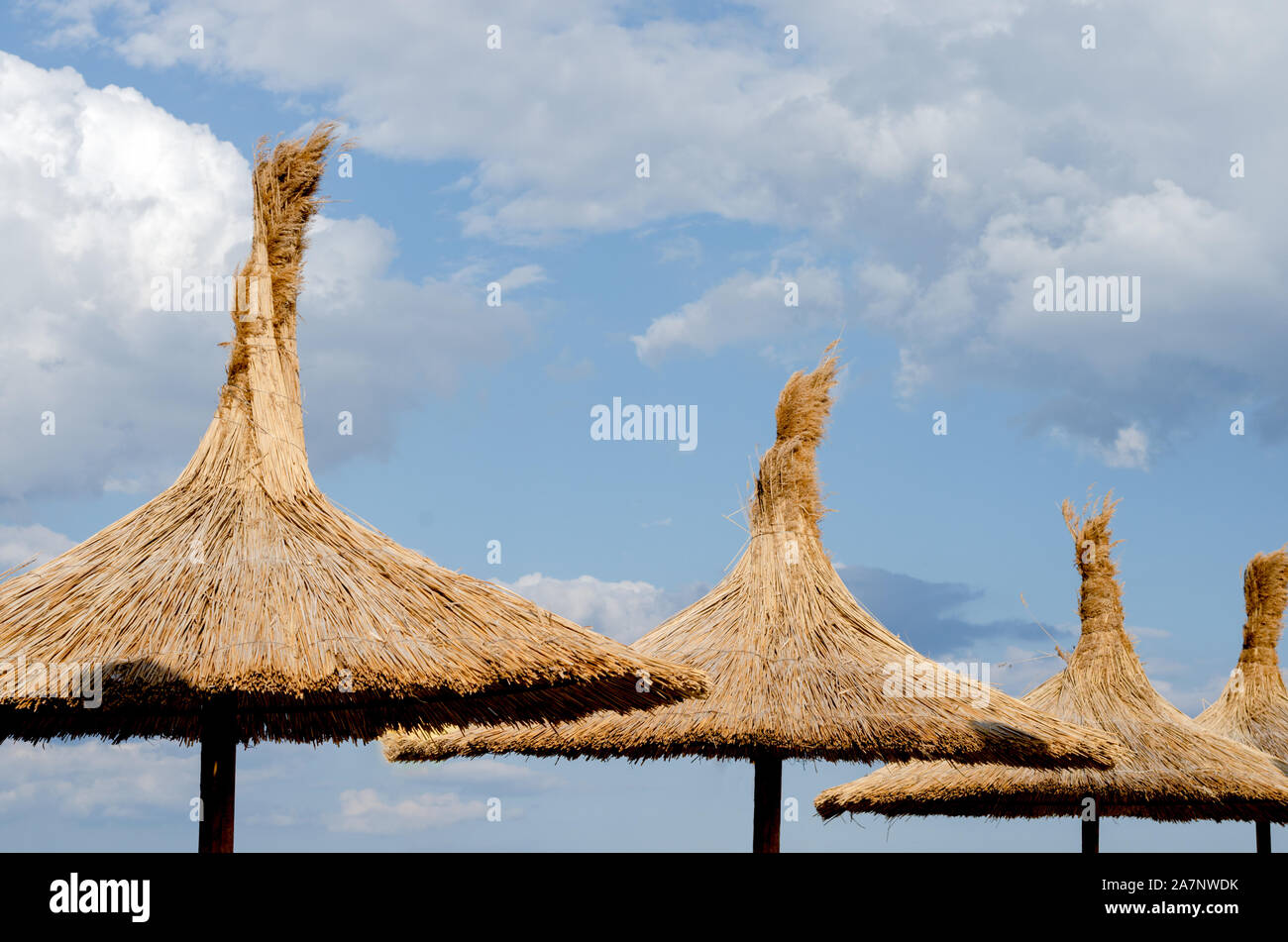 Reed Dach Dach gegen den blauen bewölkten Himmel im Sommer Zeit am Strand. Stockfoto