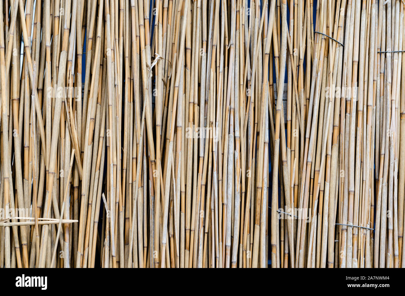 In der Nähe - uo der natürlichen Reed Hintergrund retro Wand. Stockfoto