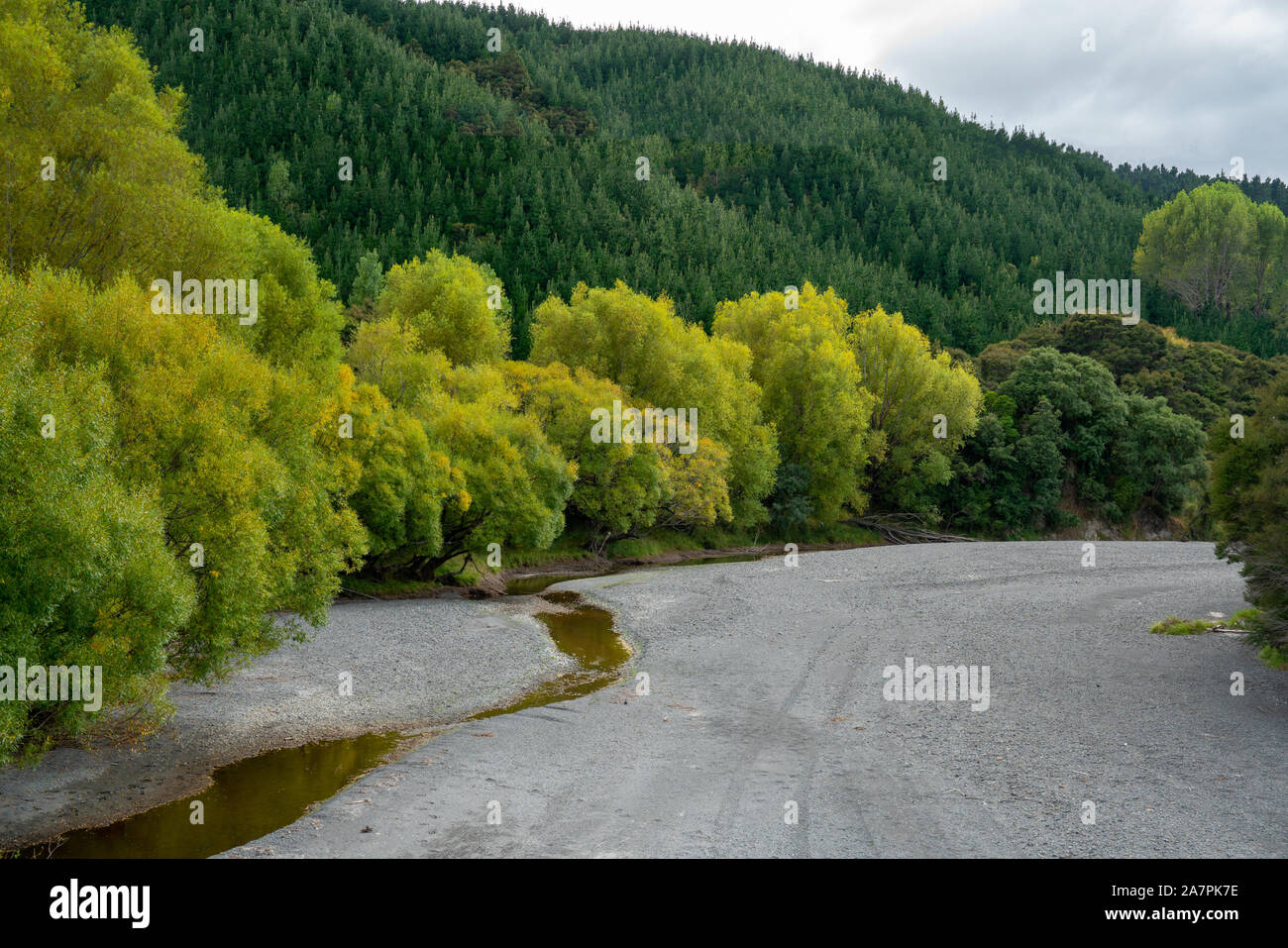 Trockenes Flussbett Linien durch Schattierungen von Grün, Bäume und Hügel Vegetation Stockfoto