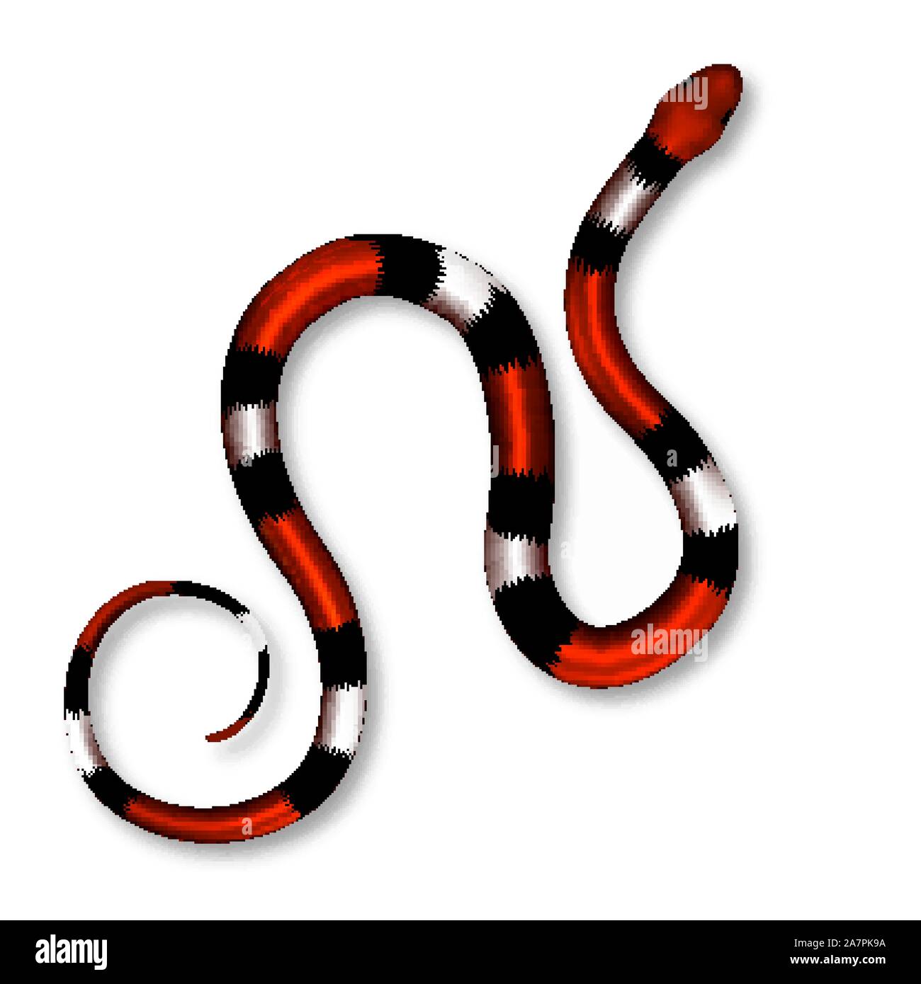 Coral Snake, Gift und Gefahr Säugetier Vektor Stock Vektor