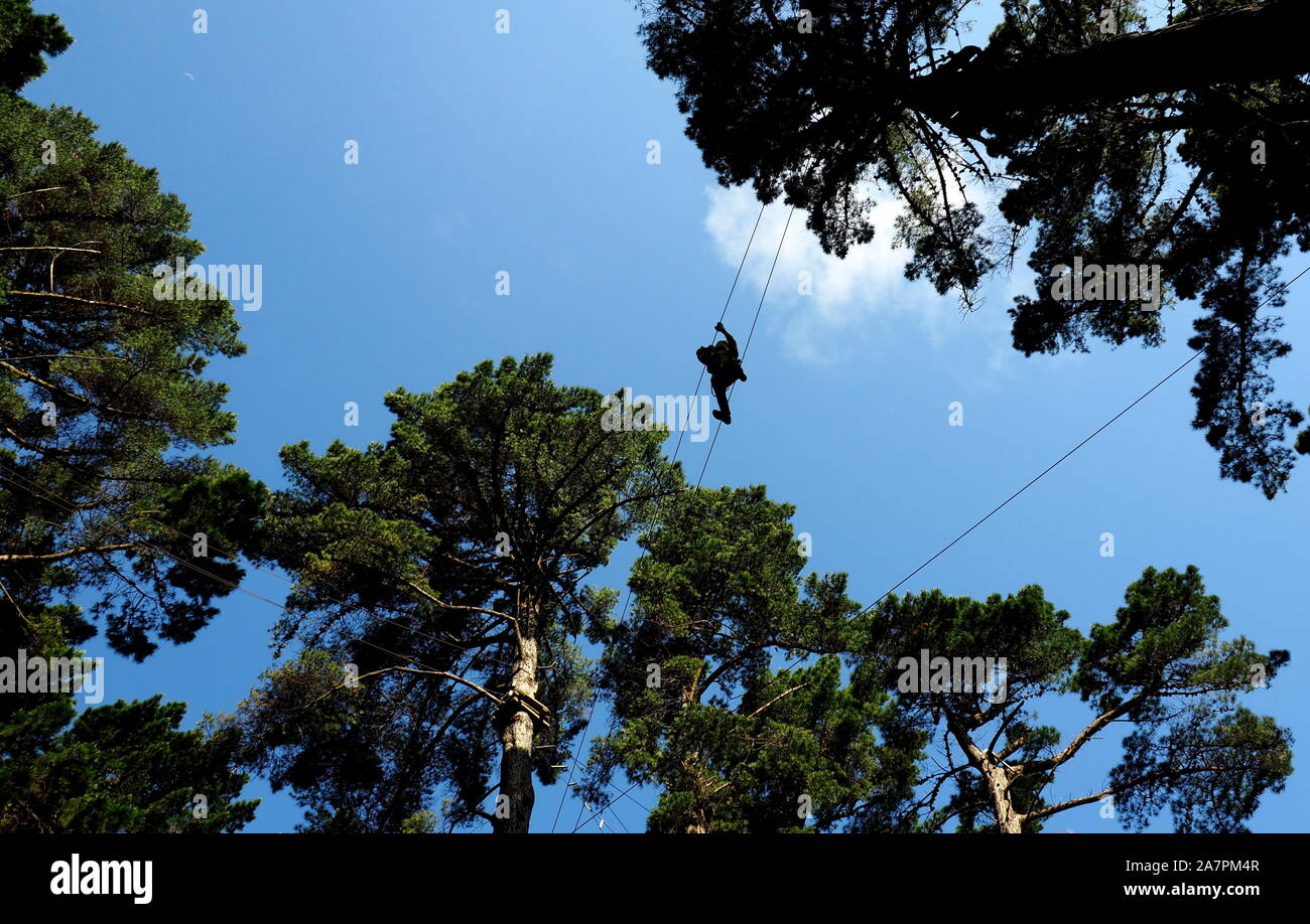 Frau (60), die auf Draht, 20 Meter über dem Boden in einem Flughinderniskurs, im Kieferndach im Adrenalin Forest, Wellington, NZ spazieren geht Stockfoto