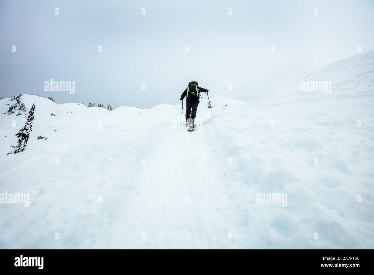 Winter backcountry Exploration mit Schneeschuhen in der North Cascades Stockfoto