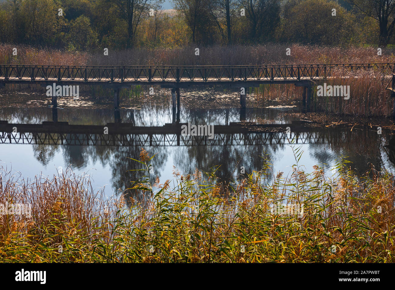 Holzbrücke im Naturpark Kopacki Rit Stockfoto