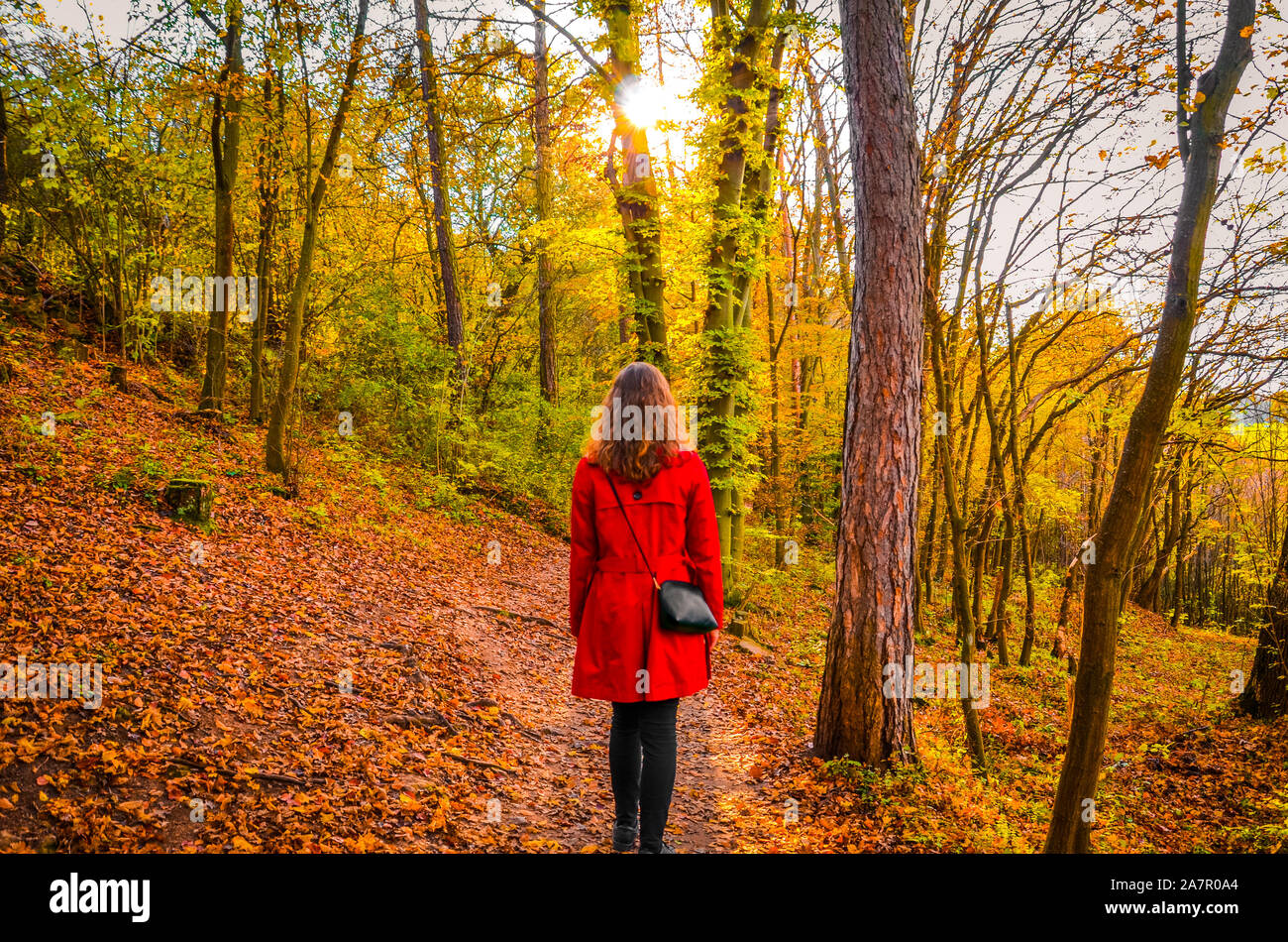 Schöne kaukasische Frau im roten Mantel im bunten Herbst Wald posieren. Sonne scheint durch die Bäume. Herbstmode, Farben und Stil. Herbst Mode Trends. Rotkäppchen Konzept. Stockfoto
