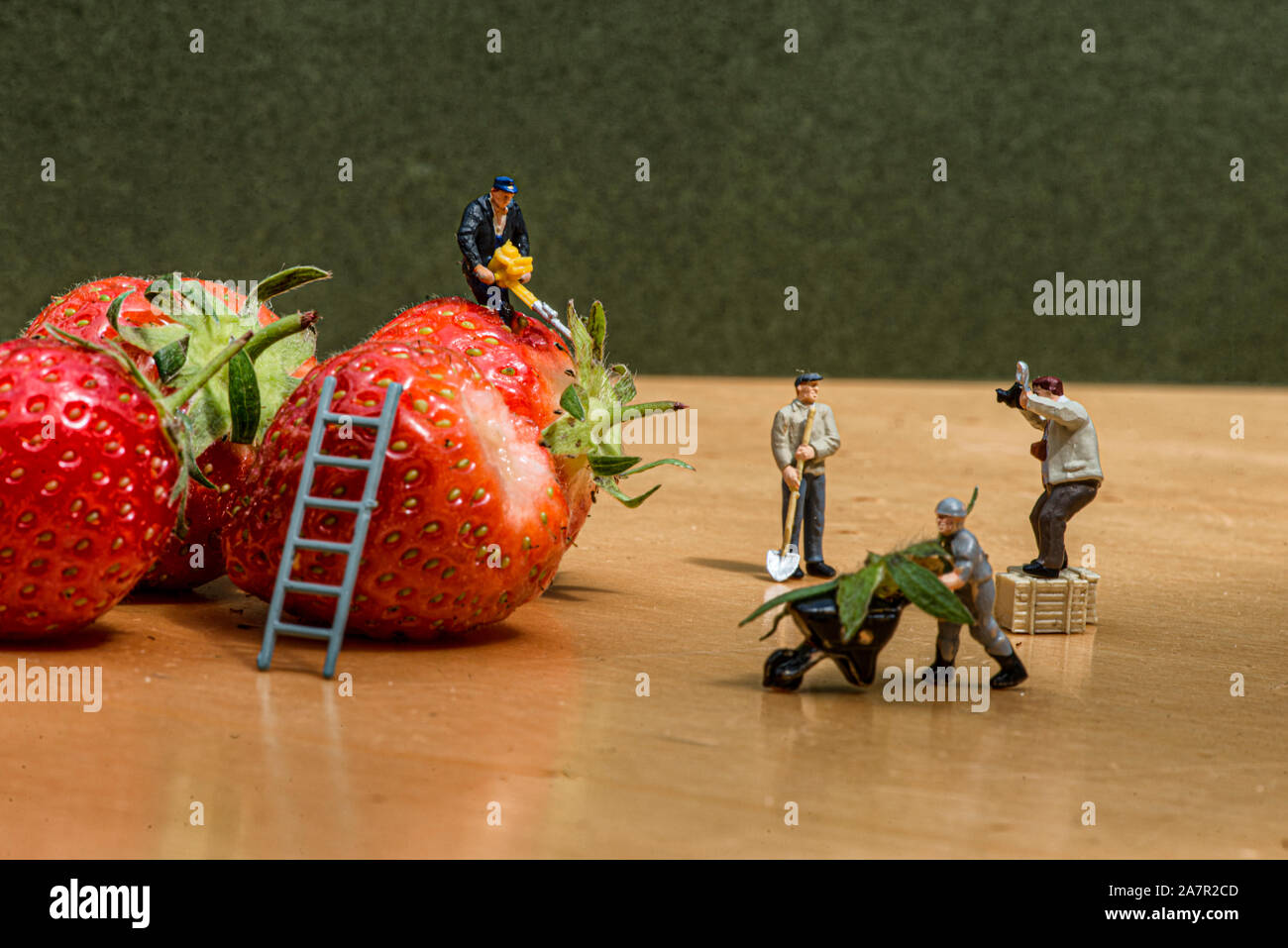 Miniatur, miniatur Menschen Reinigung Kamera und Obst pflücken, Szenen des Lebens, miniatur Szen Stockfoto