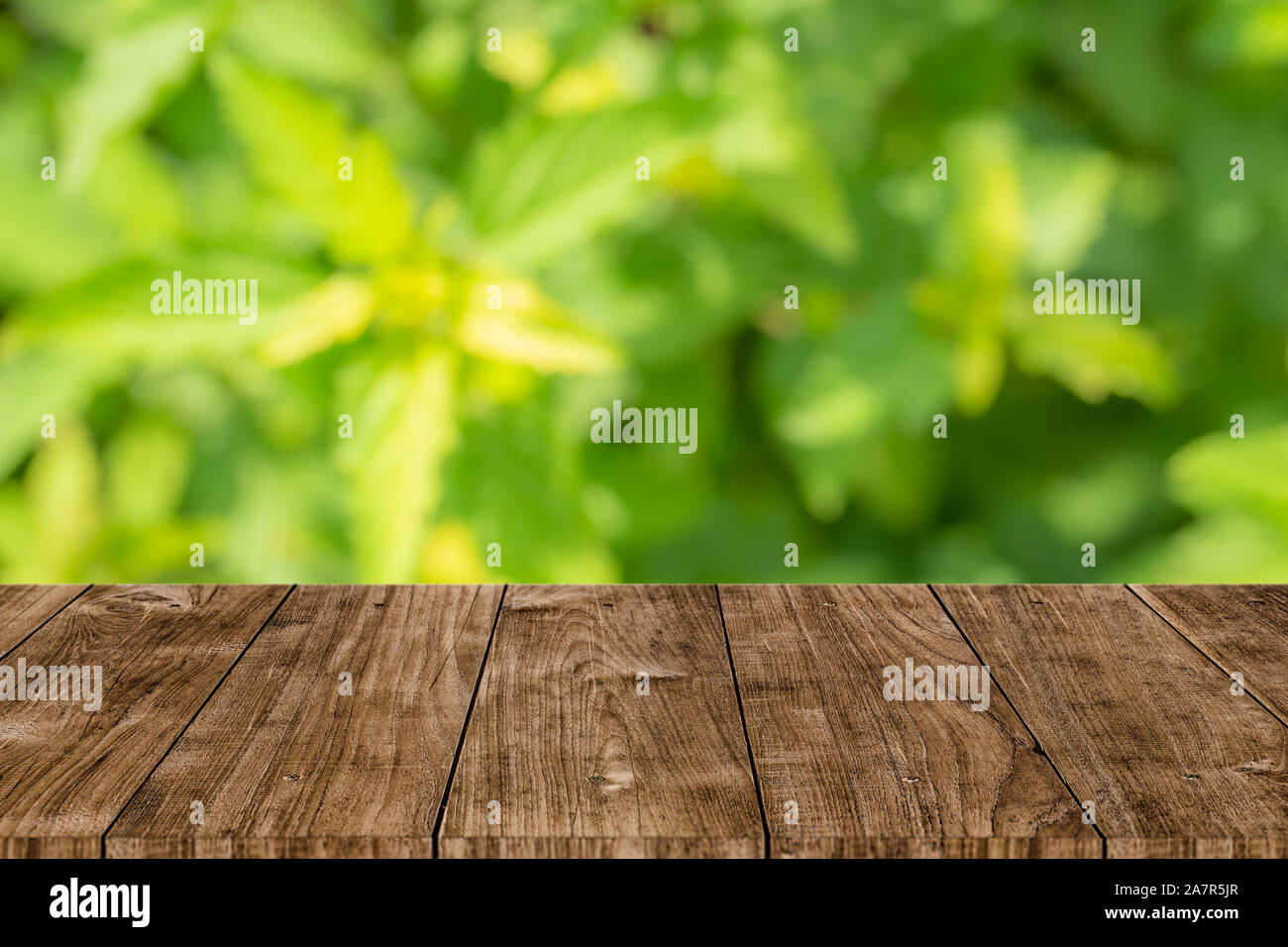 Grüne Natur Weichzeichner mit hölzernen Tisch Hintergrund für natürliche Produkte montage Vorlage Stockfoto