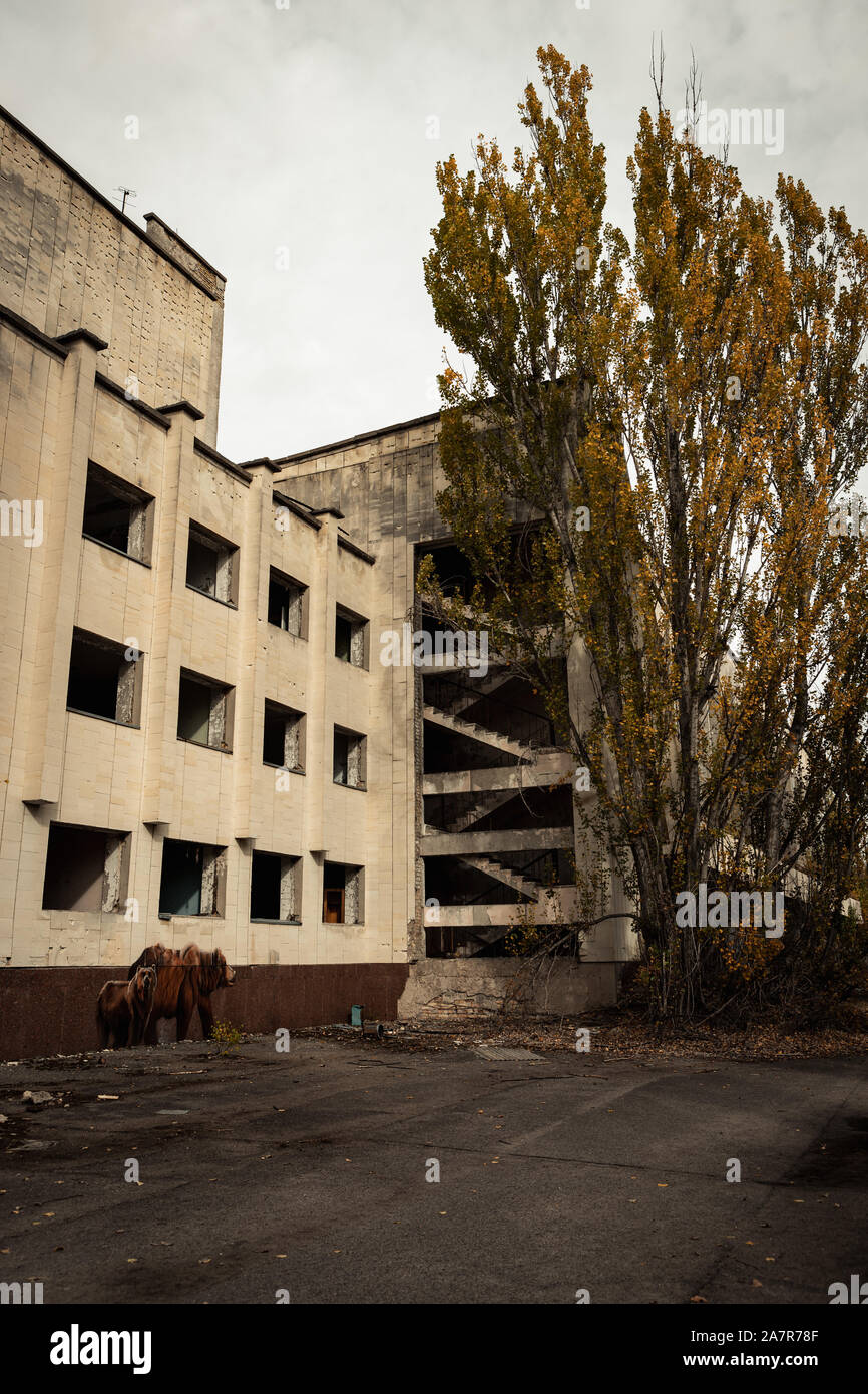 Verlassene Gebäude in der leeren Geisterstadt Pripyat in der Nähe von den Kernreaktor von Tschernobyl im Herbst (Kiew, Ukraine, Europa) Stockfoto