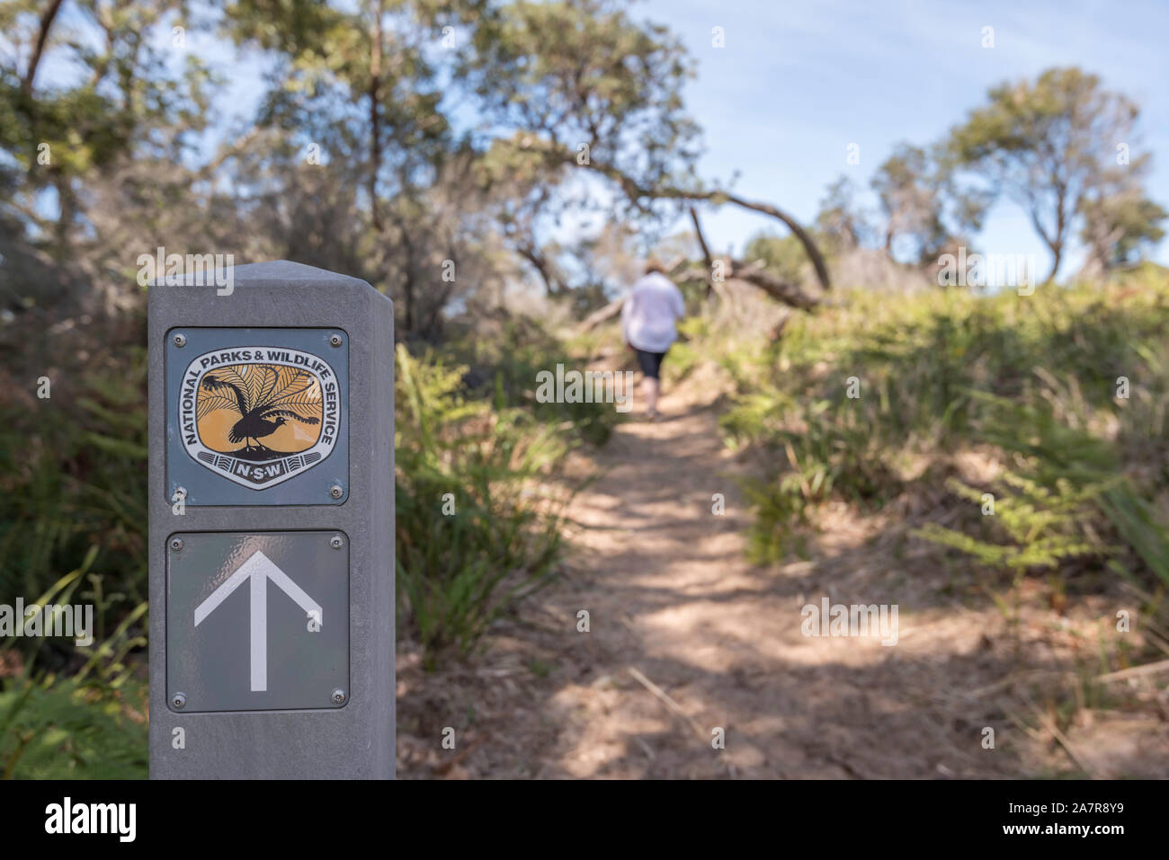New South Wales National Parks und Wildlife Anleitung Zeichen am Jibbon LOOP-Spur in der Nähe der Einfahrt zum Hafen Hacking im südlichen Sydney, Australien Stockfoto