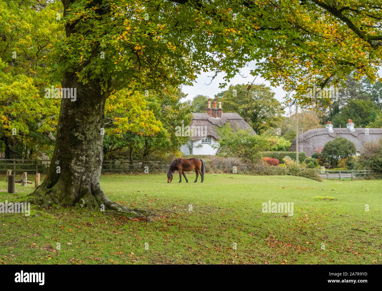 New Forest, Swan Grün mit Pony und typischen strohgedeckten Hütten, Hampshire, England, UK. Stockfoto