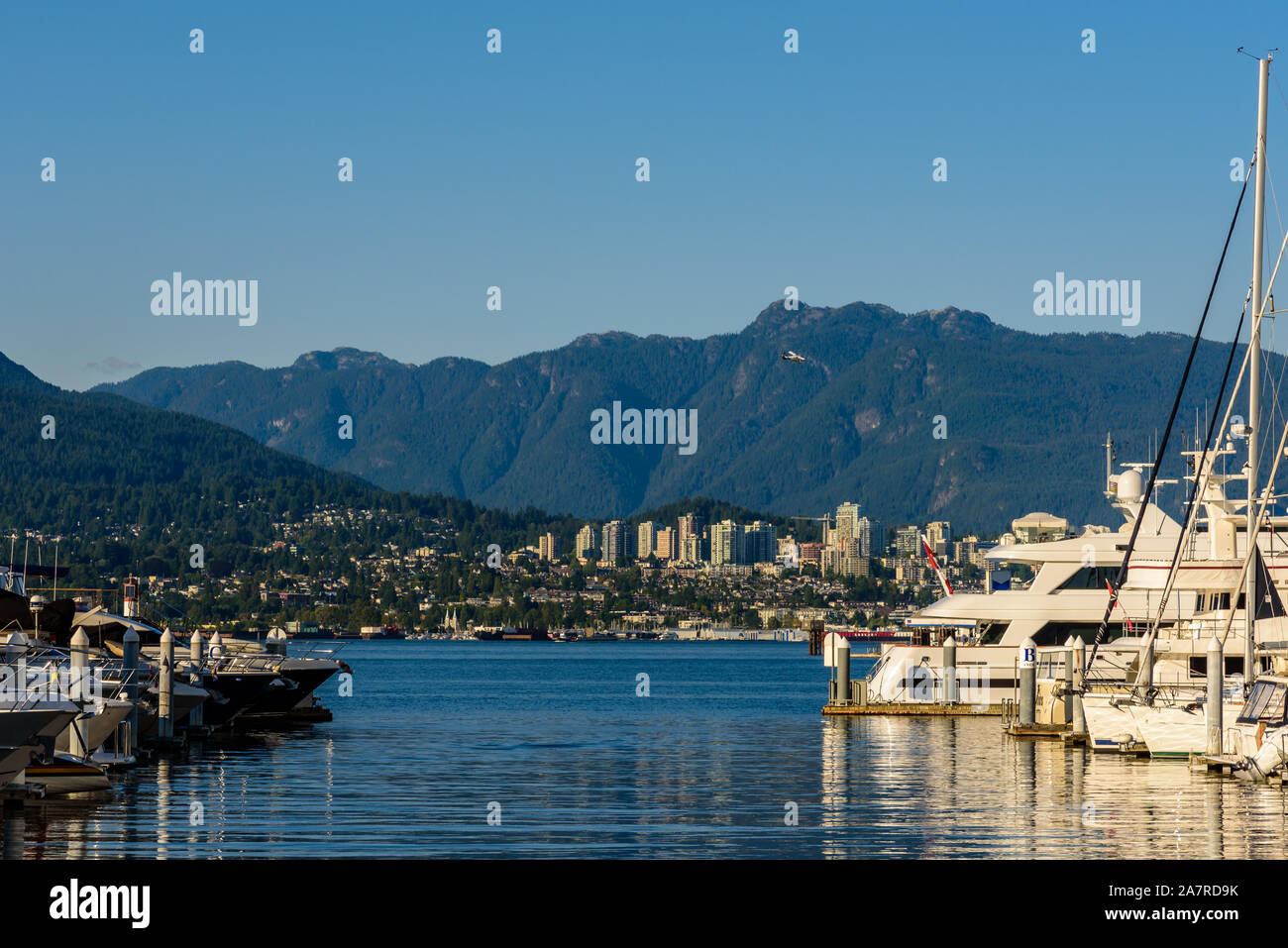 Boote angedockt in der Marina am Coal Harbour, Vancouver, Kanada, an einem sonnigen Sommertag Stockfoto