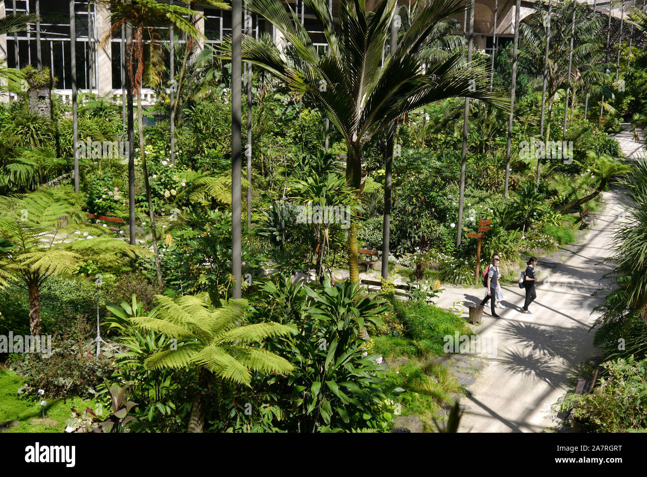 Portugal: Lissabon: "Estufa Fria" tropenhaus und seine drei botanischen Gärten mit Pflanzen, Kakteen und exotische Bäume, in den Eduardo VII p befindet Stockfoto