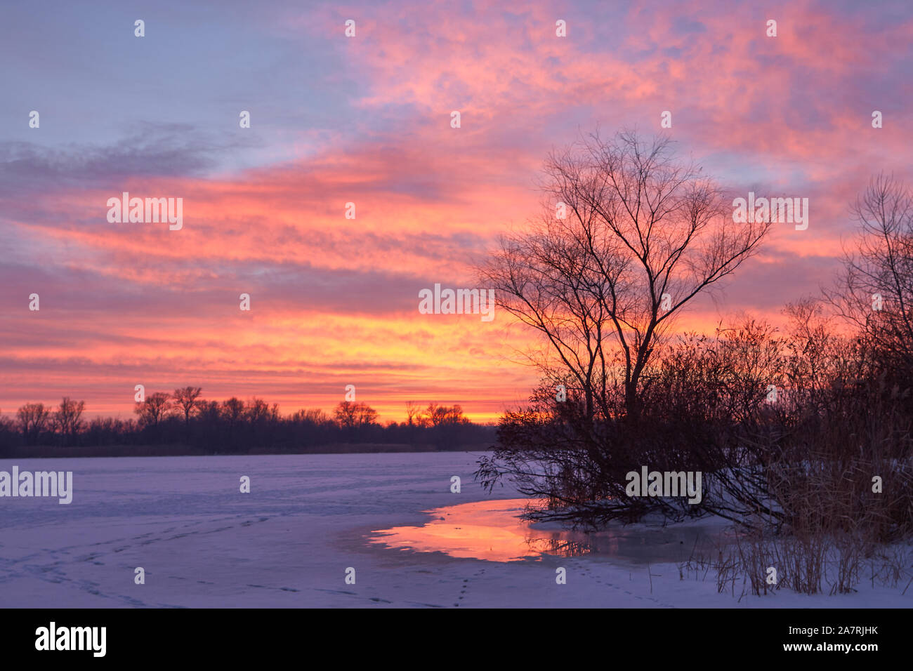 Winter Sonnenuntergang auf dem gefrorenen Fluss mit lila und rosa Wolken am blauen Himmel. Baum Silhouette und aufgetaut Patch auf einen Vordergrund Stockfoto