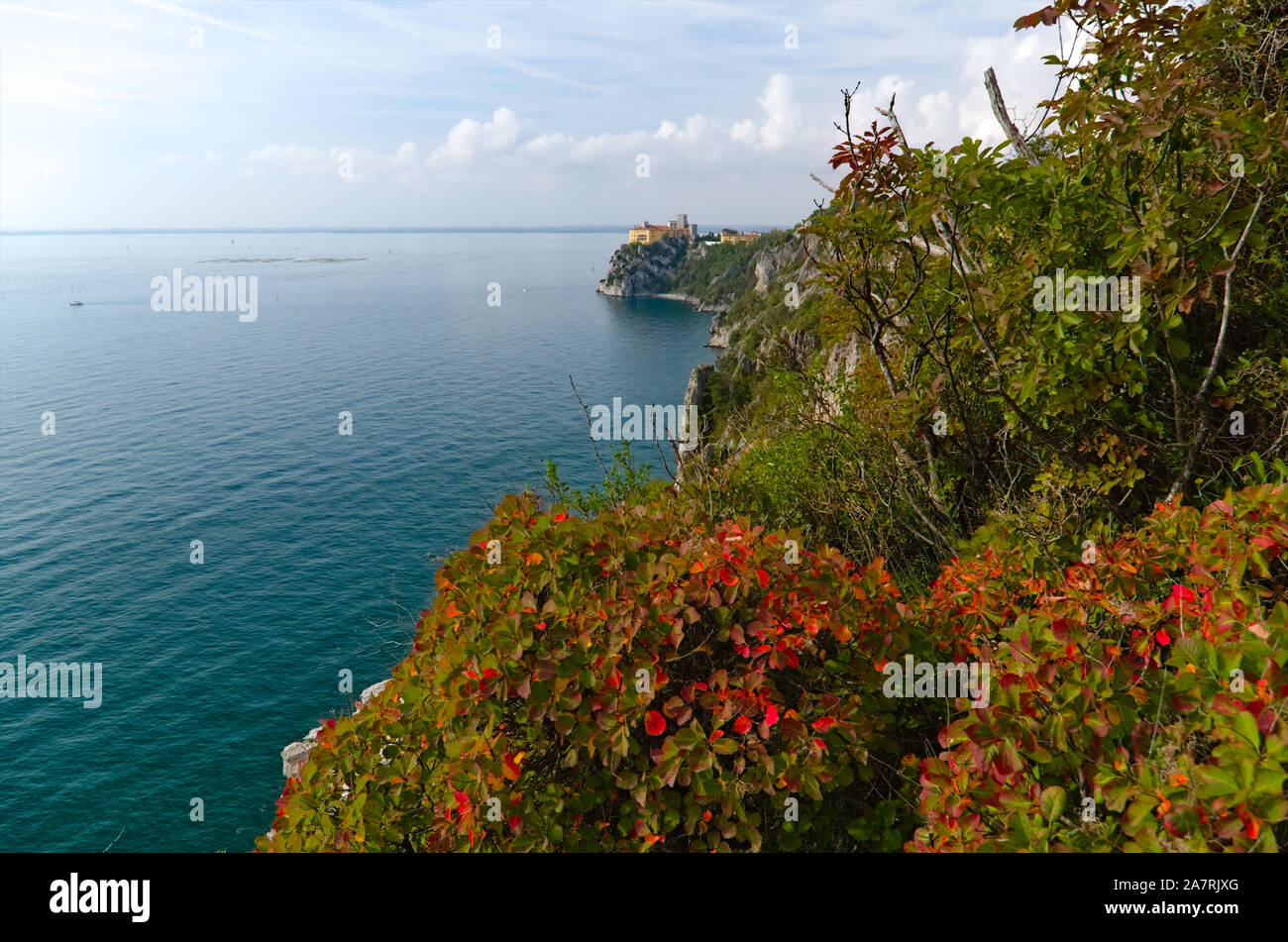 Herbst Blick auf die Kosten in der Nähe der Burg von Duino, Trieste, Friaul, Italien Stockfoto