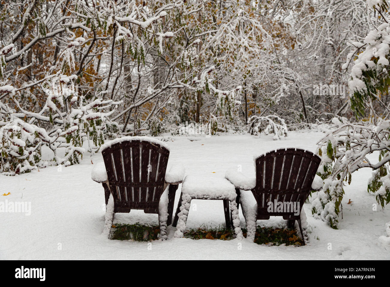 Zwei braunen Gartenstühlen und einem Beistelltisch im Licht flauschig Verschneiten nach einem unerwarteten, Herbst Schneefall, in einer Lichtung im Wald. Stockfoto