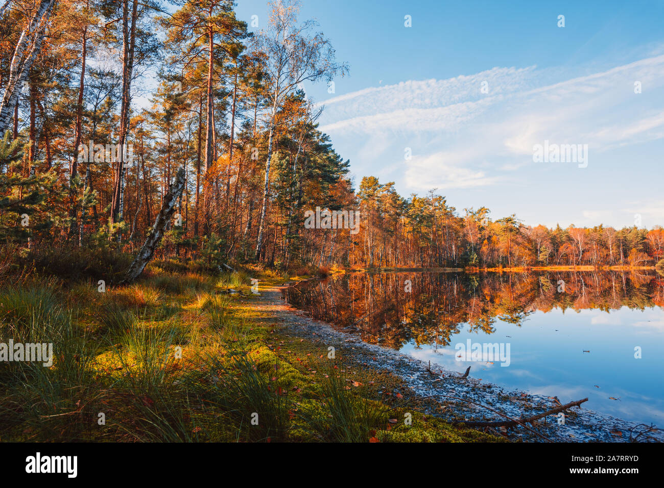 See im tiefen Wald im Herbst mit Bäumen leuchtende Laub Reflexion im Wasser Stockfoto