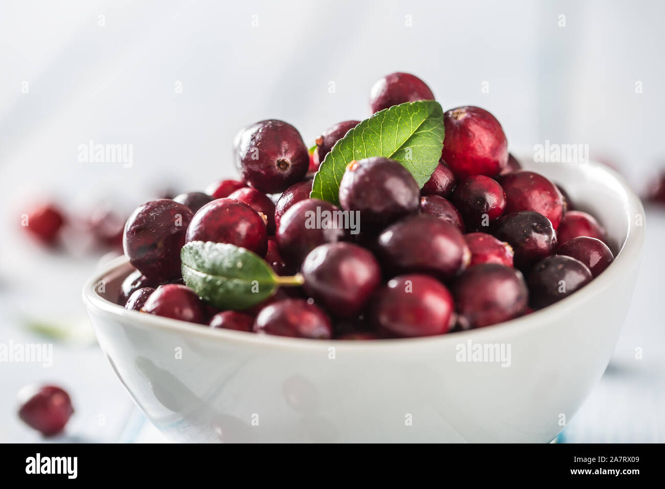 Frische reife Preiselbeeren in der Schüssel auf dem Tisch close-up Stockfoto