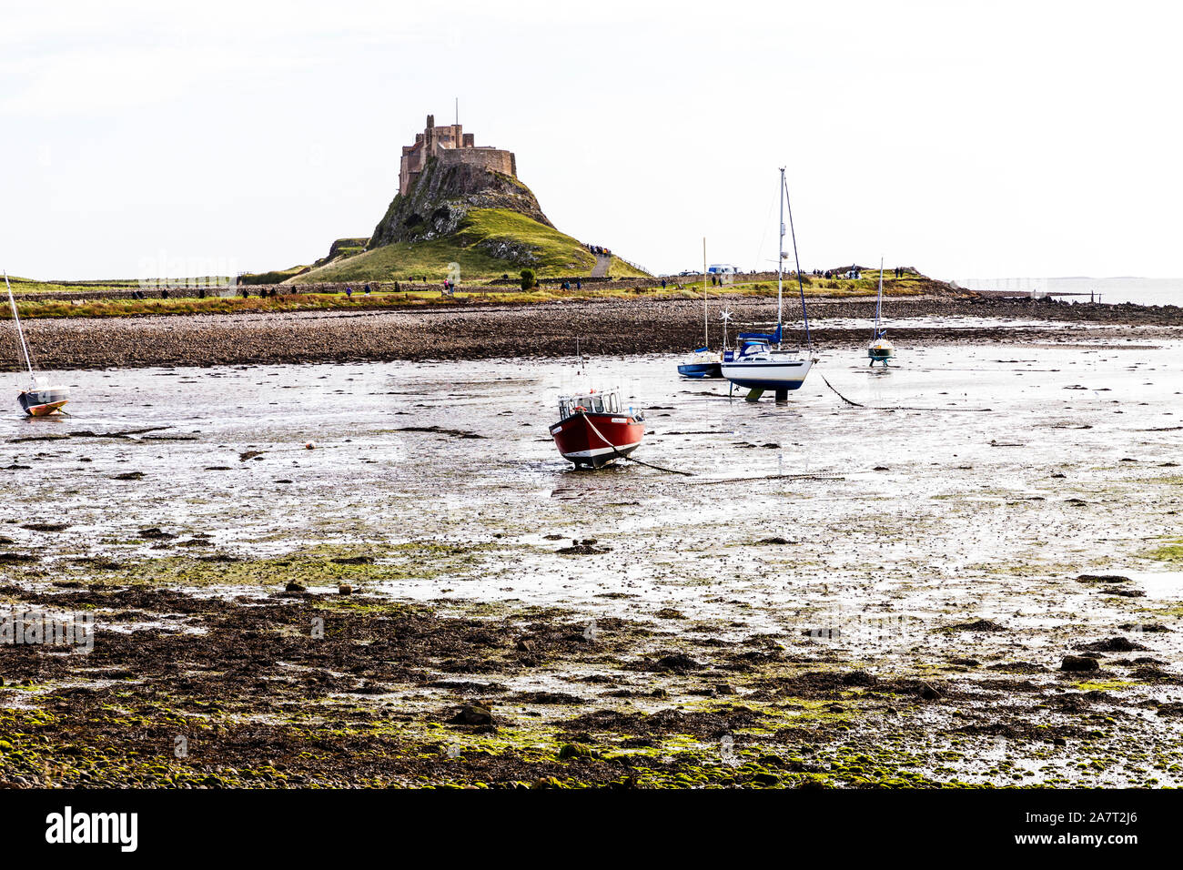 Lindisfarne, die heilige Insel, Northumberland, Großbritannien, England, Lindisfarne heilige Insel Northumberland, Lindisfarne Castle, Lindisfarne Northumberland, Stockfoto