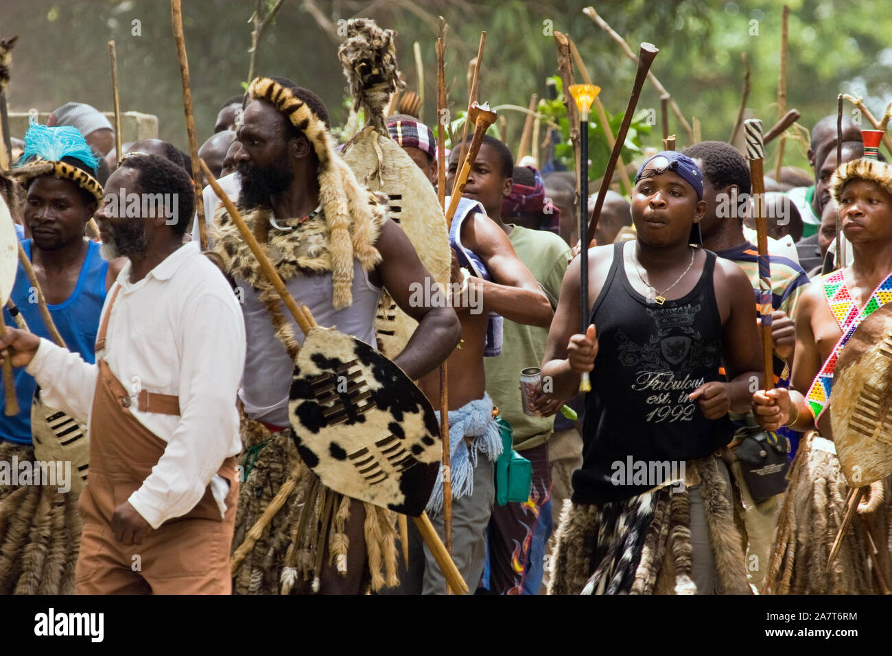 Eine Prozession von Gesang und Tanz Zulu Männer, einige in der traditionellen Kleidung der tierischen Haut Schürzen und Stirnbänder, mit traditionellen Waffen wie knobkierie. Stockfoto