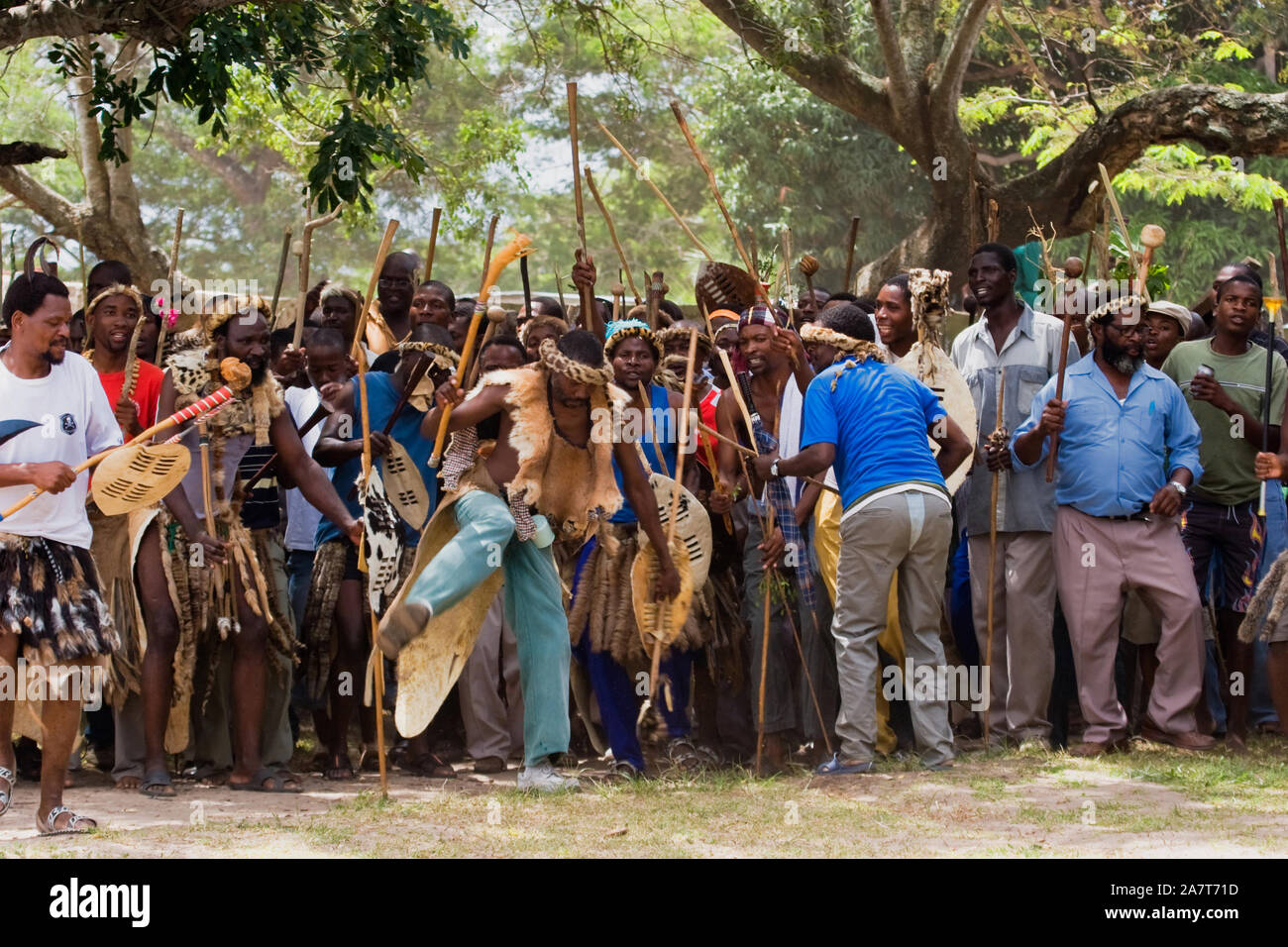 Eine Prozession von Gesang und Tanz Zulu Männer, einige in der traditionellen Kleidung der tierischen Haut Schürzen und Stirnbänder, mit traditionellen Waffen wie knobkierie. Stockfoto