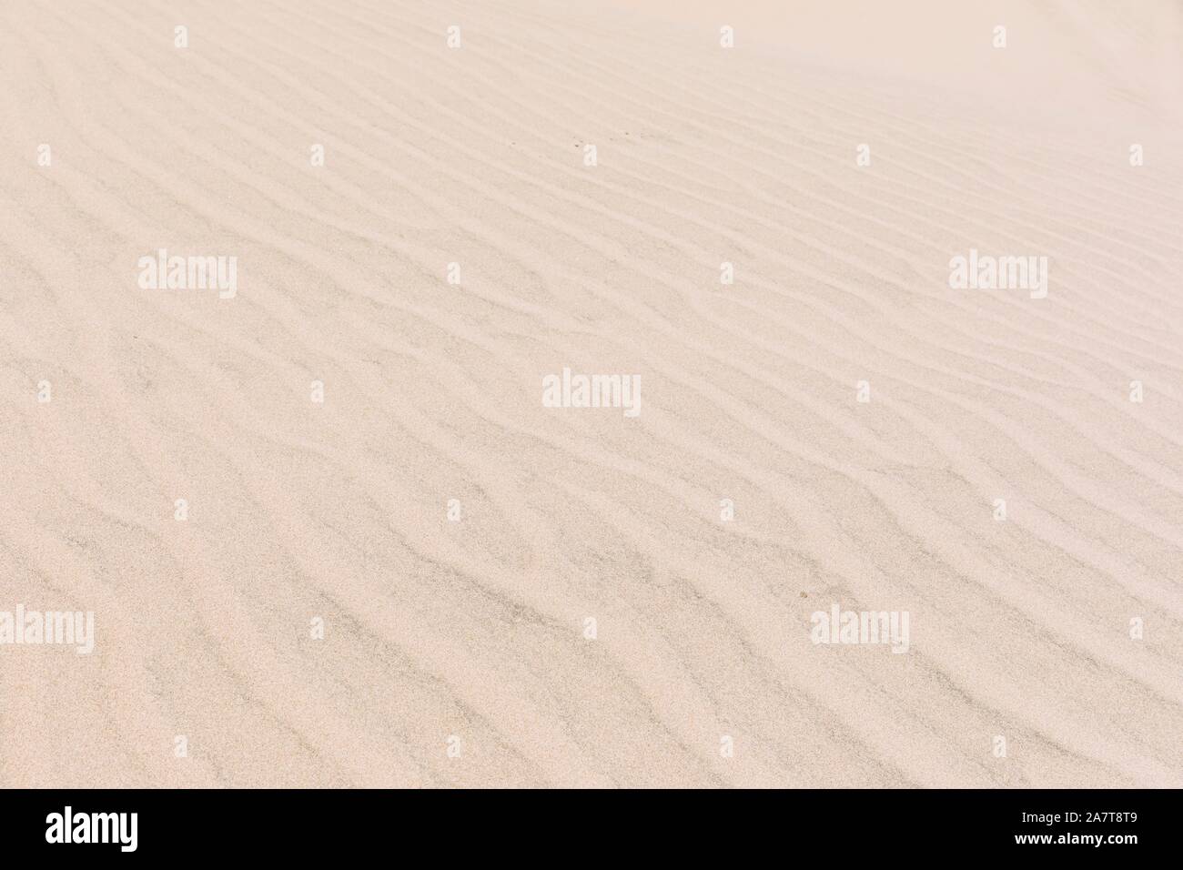 Sandboarding und Buggy in den Dünen von Peru Stockfoto