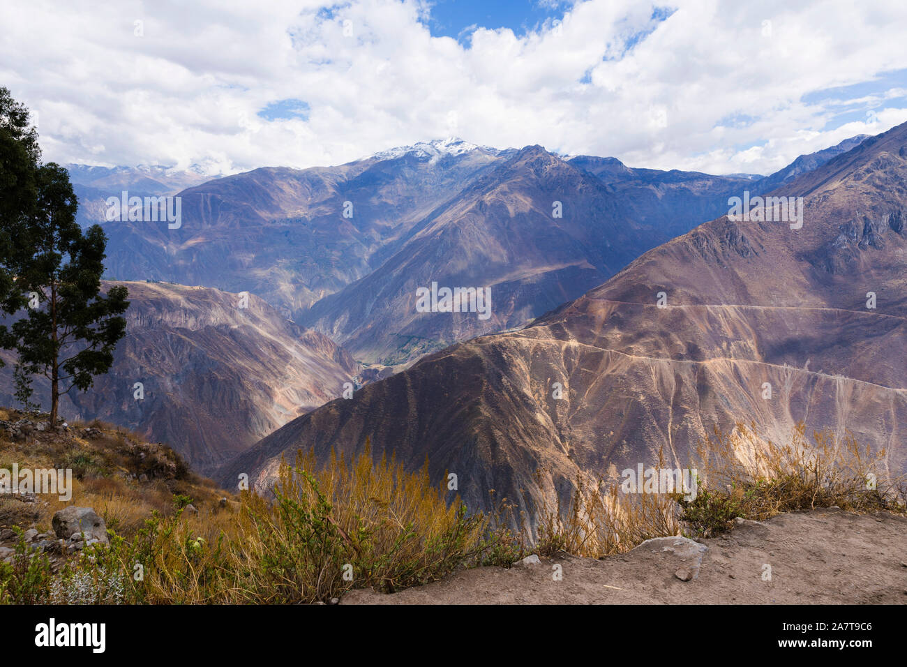 Der Colca Canyon ist eine Schlucht des Colca River im Süden Perus und liegt etwa 160 Kilometer (99 Meilen) nordwestlich von Arequipa. Stockfoto