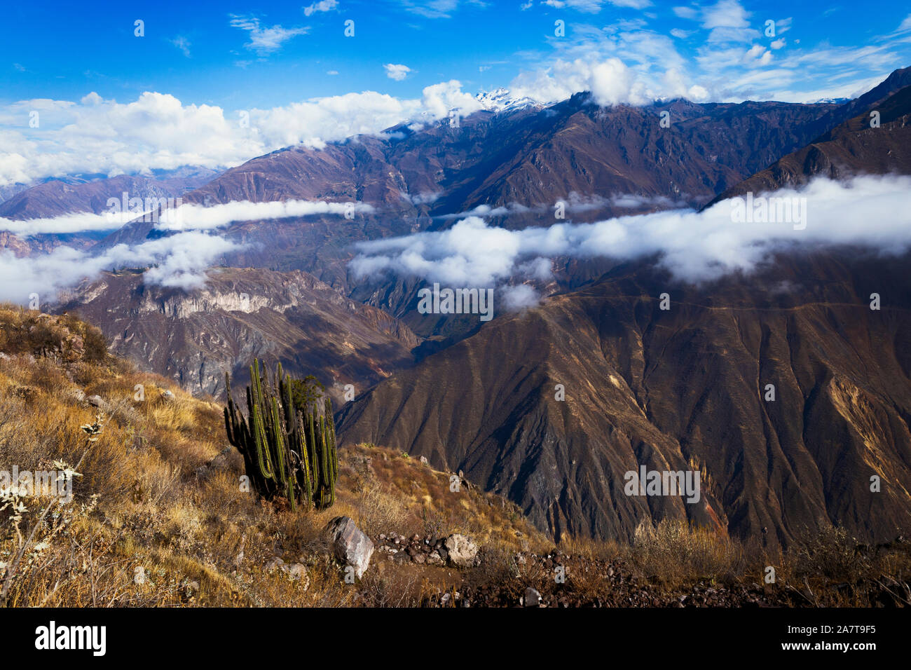 Der Colca Canyon ist eine Schlucht des Colca River im Süden Perus und liegt etwa 160 Kilometer (99 Meilen) nordwestlich von Arequipa. Stockfoto
