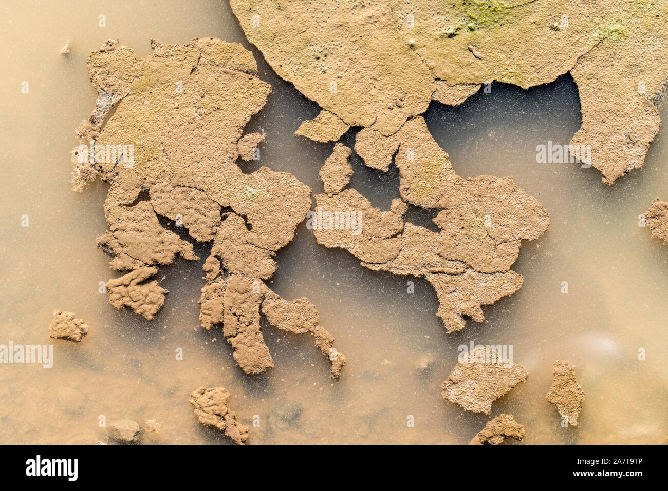 Pfütze, sieht aus wie eine Karte von Europa Stockfoto
