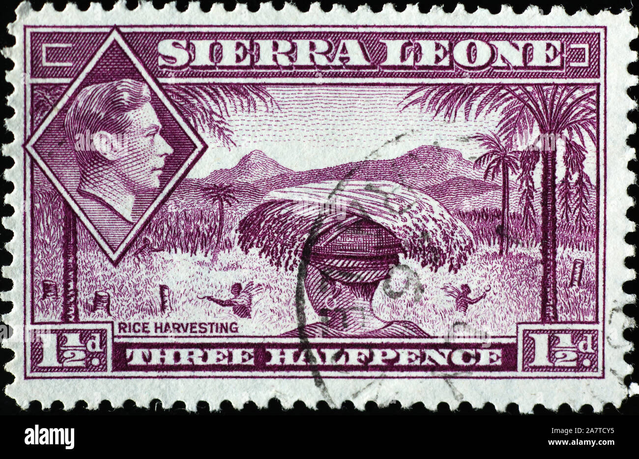 Die reisernte auf vintage Stempel von Sierra Leone Stockfoto