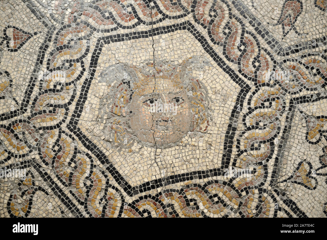 Medusa & Geometrische umgeben von römischen Fußbodenmosaik Ende 1st-2nd AD von der Rue Florian Nimes (Musée de la Romanité) Stockfoto