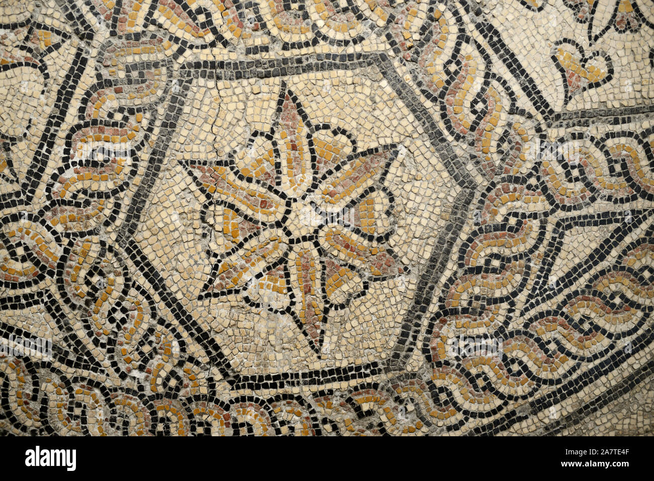 Geometrische, Blumen und Blüten von Römischen Fußbodenmosaik Ende 1st-2nd AD von der Rue Florian Nimes (Musée de la Romanité) Stockfoto